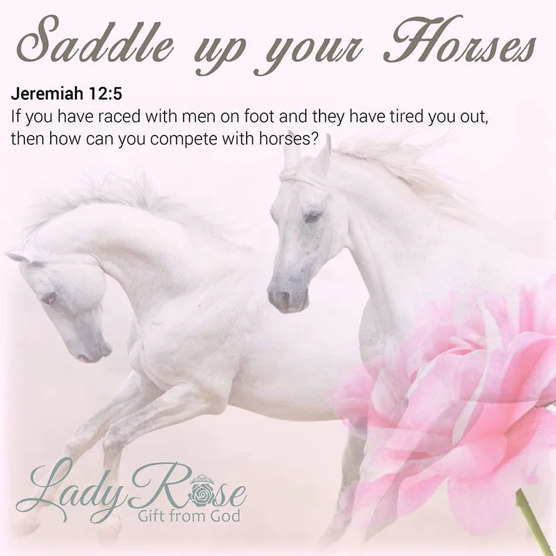 Saddle Up Your Horses