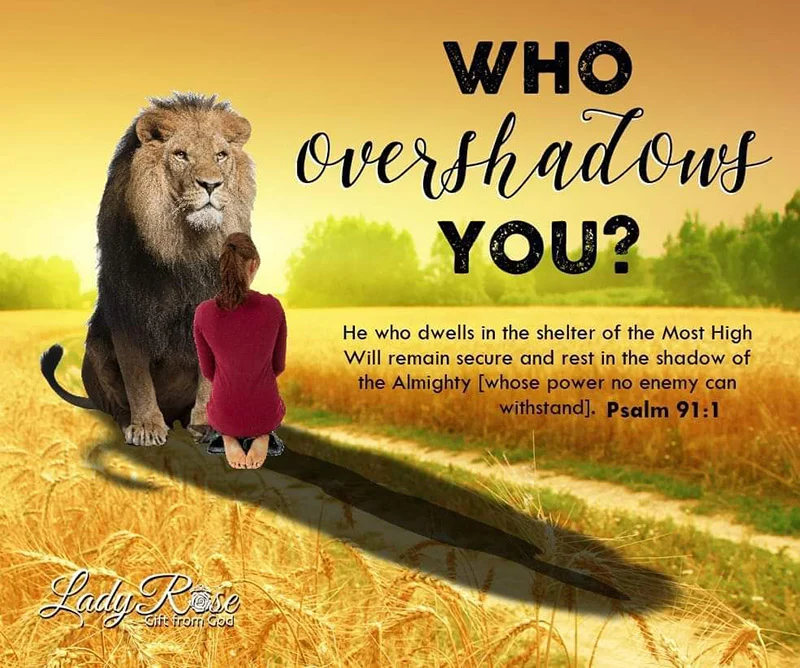 Who Over Shadows You