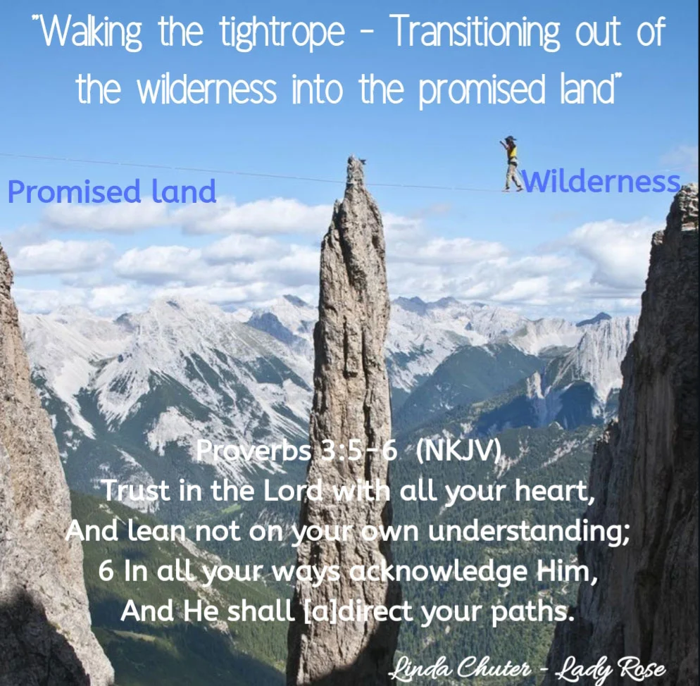 Transitioning out of the wilderness into the Manifestation of His Kingdom