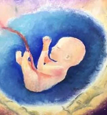 Warrior Parents Day 13