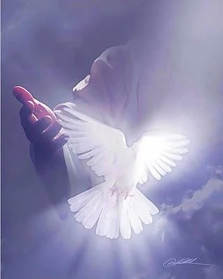 Warrior parents Body Soul Spirit